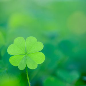 four_leaves_clover